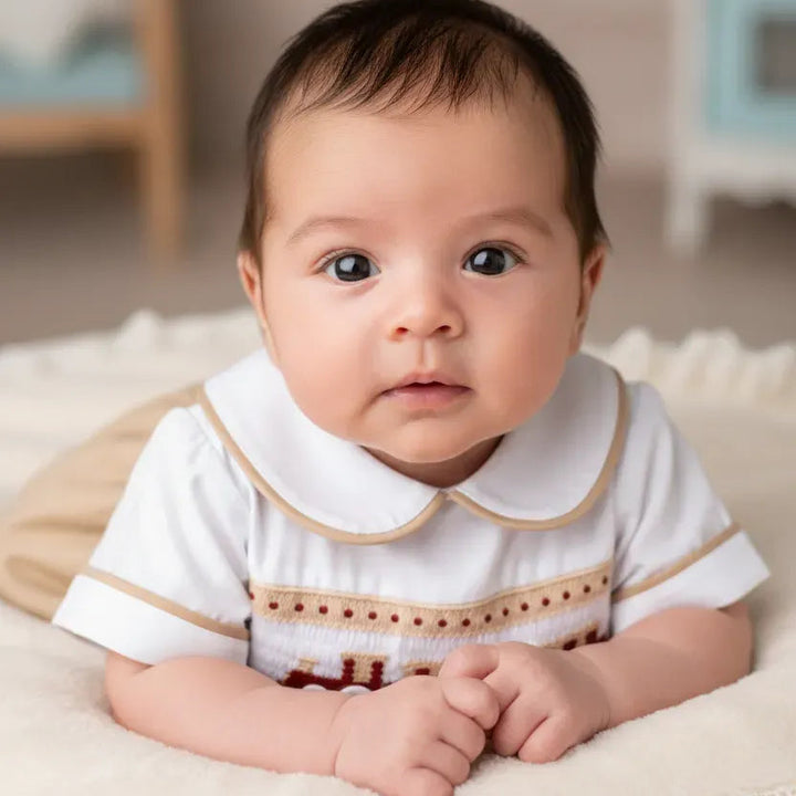 Ocean Baby Camel Berry Train Themed Smocked Buster Suit (NB-3Yrs)