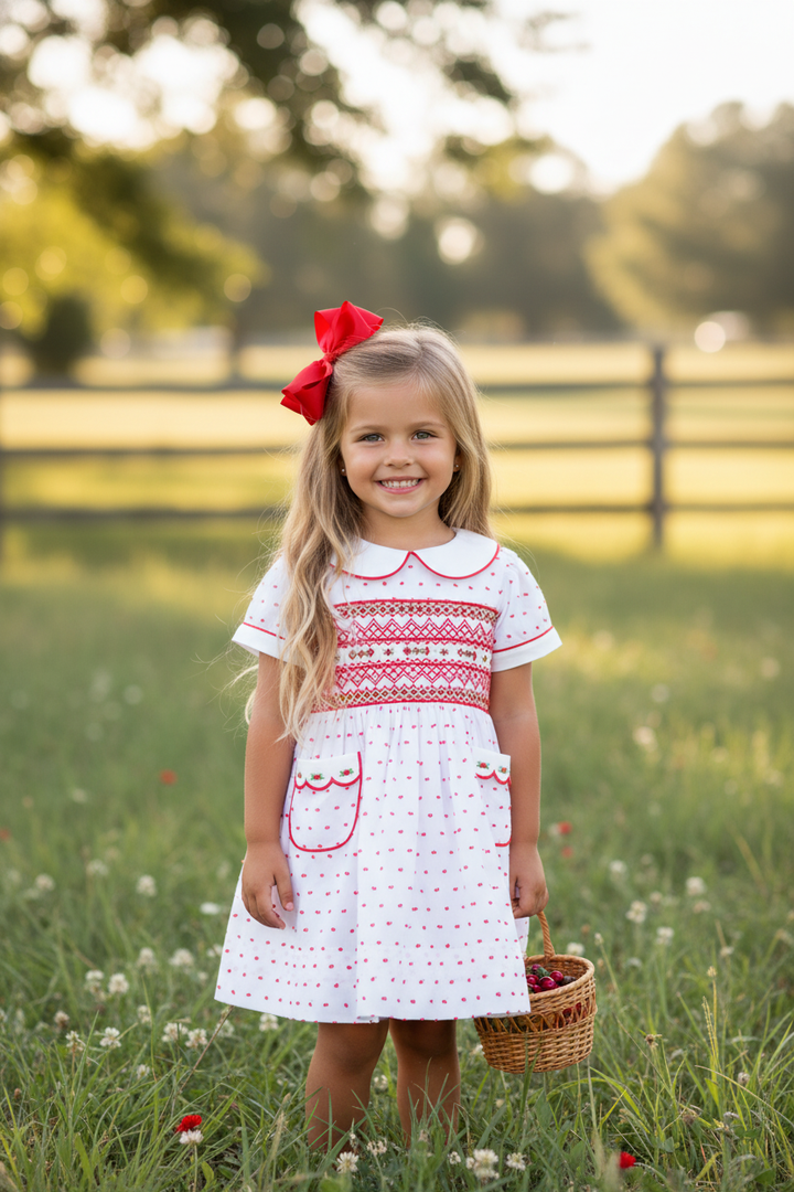 Ocean Baby Girls Red Swiss Dot Smocked Petticoat Layered Dress (3M-8Yrs)
